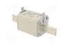 ETI POLAM Fusible NH1 de cerámica 25A 500VAC gF