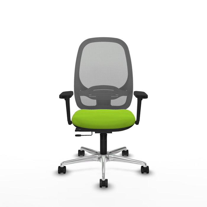 PIQUERAS Y CRESPO Silla de oficina Cilanco Pistacho y Gris PIQUERAS Y CRESPO Silla de oficina Cilanco Pistacho y Gris