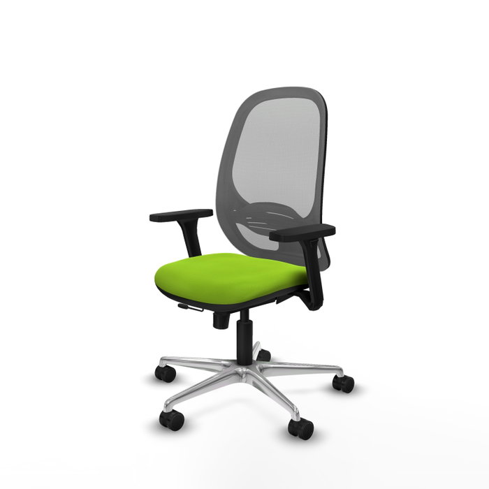 PIQUERAS Y CRESPO Silla de oficina Cilanco Pistacho y Gris PIQUERAS Y CRESPO Silla de oficina Cilanco Pistacho y Gris