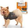 Ceva ThunderShirt XS para perros de 4-6 kg
