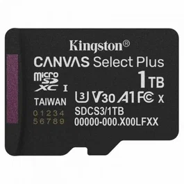 Kingston SDCS3/1TB Tarjeta de Memoria microSDXC 1TB Clase 10 U3 V30 A1 Velocidad de Lectura 150MB/s