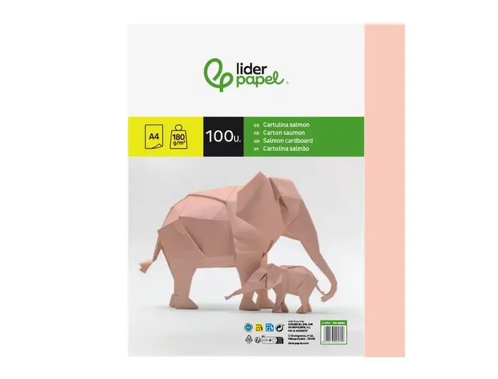 Liderpapel Cartulina A4 Salmón 180g/m2 paquete de 100 hojas Liderpapel Cartulina A4 Salmón 180g/m2 paquete de 100 hojas