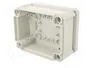 OBO BETTERMANN Caja de conexiones T 100 gris claro