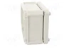 OBO BETTERMANN Caja de conexiones T 100 gris claro