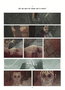 Memorias de Gris