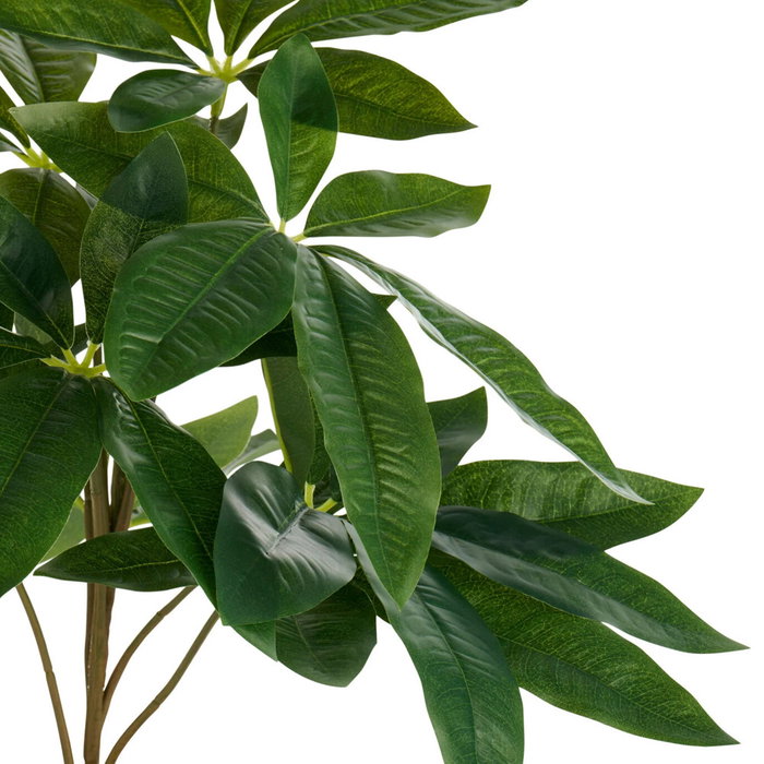 Day Planta Artificial Pachira Acuática o Árbol del Dinero en Maceta Negra 40 cm Altura Maceta 10 cm x 8.5 cm