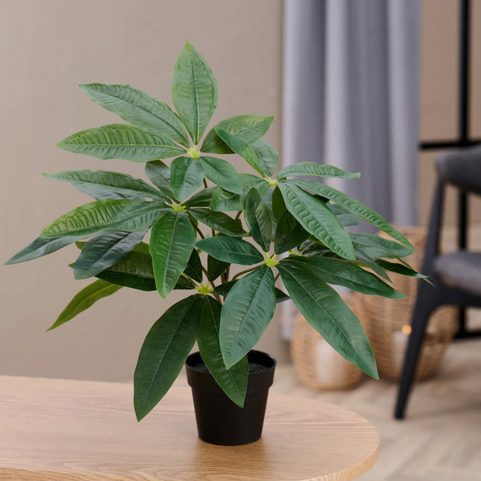 Day Planta Artificial Pachira Acuática o Árbol del Dinero en Maceta Negra 40 cm Altura Maceta 10 cm x 8.5 cm