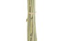 DKD Home Decor Ramas de Flor Seca con Avena Surtido 2 Colores