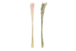 DKD Home Decor Ramas de Flor Seca con Avena Surtido 2 Colores