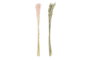 DKD Home Decor Ramas de Flor Seca con Avena Surtido 2 Colores