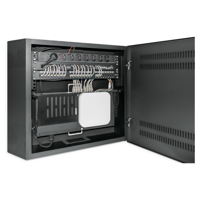 Intellinet Gabinete de Pared 19 pulg. 4U/2U Negro