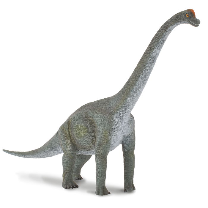 Collecta Pack De Prehistóricos 5 Unidades con Cartas AR Escala XL +3 Años