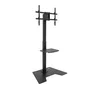 Tooq Soporte de Suelo MINOS FS2284M-B para TV de 37-70 pulgadas