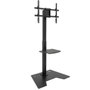 Tooq Soporte de Suelo MINOS FS2284M-B para TV de 37-70 pulgadas