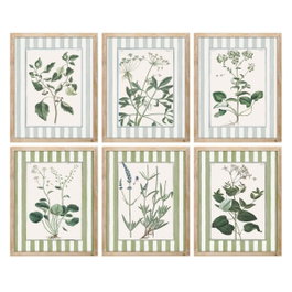 DKD Home Decor Cuadro Abeto Cristal Botánico Pack de 6