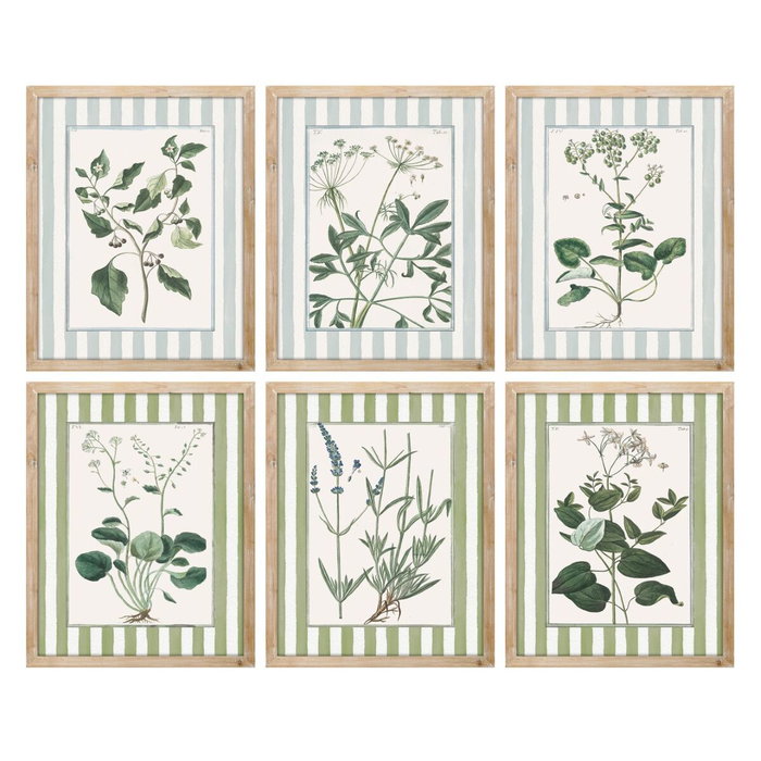DKD Home Decor Cuadro Abeto Cristal Botánico Pack de 6 DKD Home Decor Cuadro Abeto Cristal Botánico Pack de 6