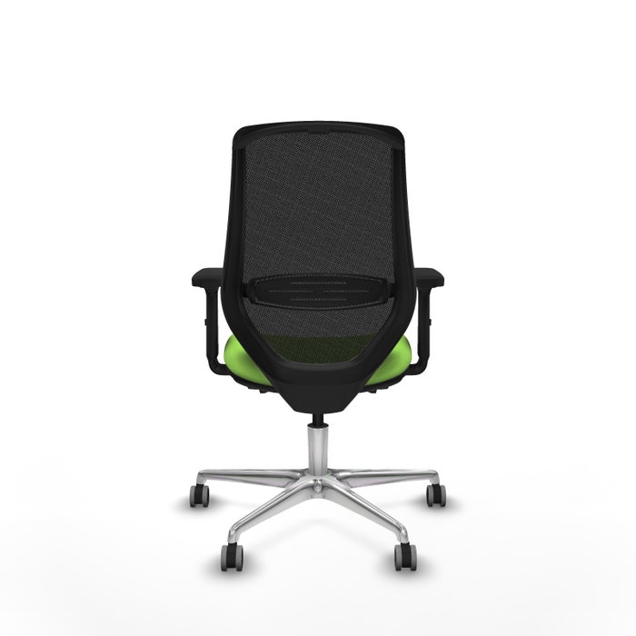 PIQUERAS Y CRESPO Silla de oficina Mardos con mecanismo Sincro/Traslack, Pistacho y Negro PIQUERAS Y CRESPO Silla de oficina Mardos con mecanismo Sincro/Traslack, Pistacho y Negro
