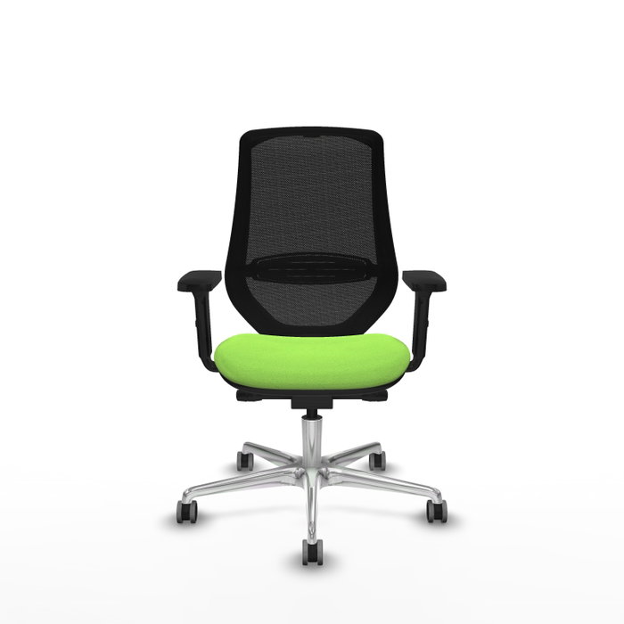 PIQUERAS Y CRESPO Silla de oficina Mardos con mecanismo Sincro/Traslack, Pistacho y Negro PIQUERAS Y CRESPO Silla de oficina Mardos con mecanismo Sincro/Traslack, Pistacho y Negro