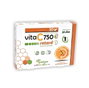 PINISAN Vita C Retard 750mg 30 Cápsulas