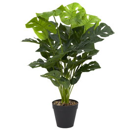 Home Deco Factory Planta Artificial Costilla de Adán - 70 cm de altura