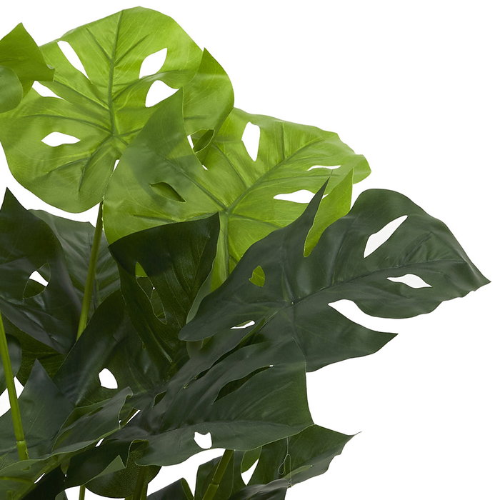 Home Deco Factory Planta Artificial Costilla de Adán - 70 cm de altura