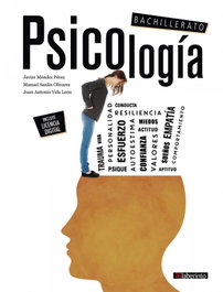 PSICOLOGIA 2ºNB 23 FANFEST, AA.VV - LABERINTO TEXTO