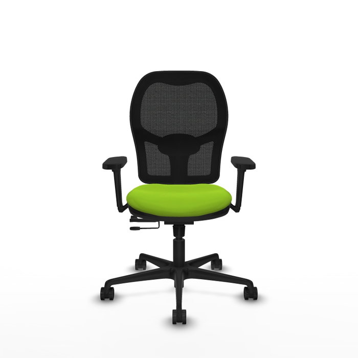 PIQUERAS Y CRESPO Silla de oficina Jorquera con mecanismo Sincro/Traslack, Pistacho y Negro