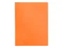 Liderpapel Carpeta Escaparate 20 Fundas Polipropileno DIN A4 Naranja Fluor Opaco