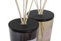 DKD Home Decor Ambientador Mikado Cristal 1L, Pack de 2 unidades surtidas
