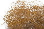 DKD Home Decor Ramo de Flores Preservadas Gysophila Mini 50gr Surtido