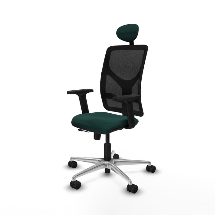 PIQUERAS Y CRESPO Silla de oficina Motilla con mecanismo Sincro/Traslack, Verde botella y Negro PIQUERAS Y CRESPO Silla de oficina Motilla con mecanismo Sincro/Traslack, Verde botella y Negro