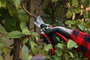 KAMIKAZE Tijera de Poda KM5 de 210 mm con Funda