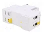 SCHNEIDER ELECTRIC Interruptor magnetotérmico iC60N 20A 2 polos C
