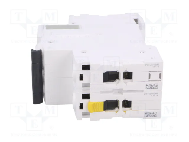 SCHNEIDER ELECTRIC Interruptor magnetotérmico iC60N 20A 2 polos C