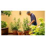 Bosch GardenPump 18V-2000 (1x2.5Ah)