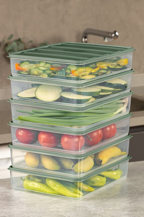 Hermia YBLLA3,56LI Set de 6 Cajas de Almacenaje de Plástico Color Verde 3500ml Organizador para Hogar Cocina Dormitorio Oficina