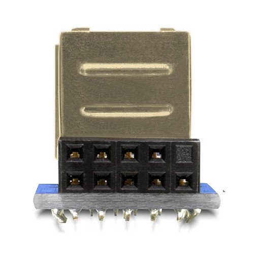 DeLOCK Adaptador 1 x 9-pin 2.54 mm a 2 x USB 2.0-A