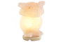 DKD Home Decor Lámpara de Sal del Himalaya Sobremesa Árabe con Forma de Búho, Rosa, Incluye Bombilla E14, 14 x 14 x 18 cm