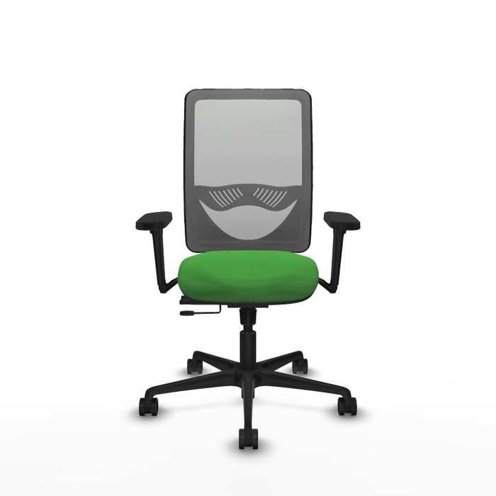 PIQUERAS Y CRESPO Silla de oficina Zulema Verde y Gris PIQUERAS Y CRESPO Silla de oficina Zulema Verde y Gris