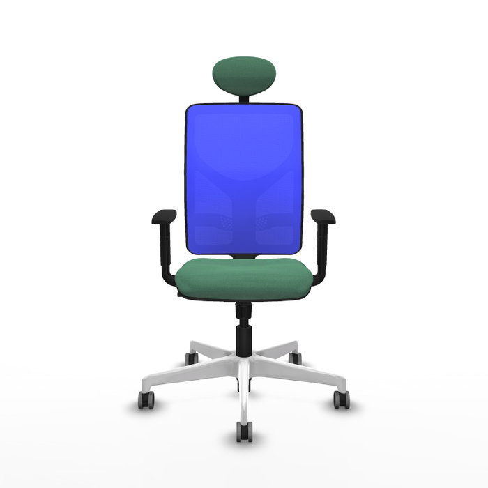 PIQUERAS Y CRESPO Silla de oficina Motilla con mecanismo Sincro, Verde esmeralda y Azul PIQUERAS Y CRESPO Silla de oficina Motilla con mecanismo Sincro, Verde esmeralda y Azul