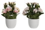 DKD Home Decor Planta Rosa Palo Blanco Poliester Pe 10.5 x 25 x 10.5 cm (12 Unidades)