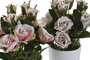 DKD Home Decor Planta Rosa Palo Blanco Poliester Pe 10.5 x 25 x 10.5 cm (12 Unidades)