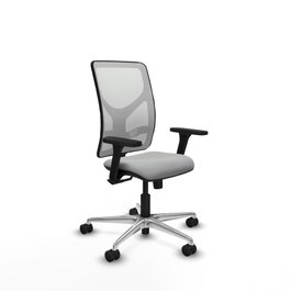 PIQUERAS Y CRESPO Silla de oficina Motilla con mecanismo Sincro, Gris claro y Blanco