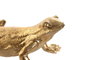 DKD Home Decor Figura de Lagartija en Resina Dorado
