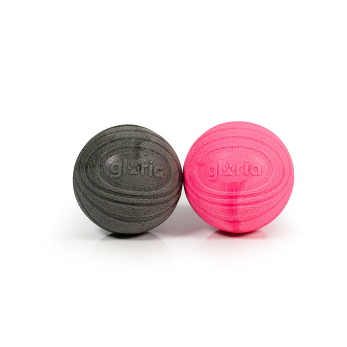 Play And Run Pelota Superflexi Foam M Gris-Rosa 6.35 cm (2 Piezas) para Perros Play And Run Pelota Superflexi Foam M Gris-Rosa 6.35 cm (2 Piezas) para Perros
