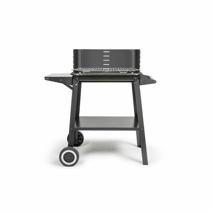 Livoo Barbacoa de carbón DOC328 en acero inoxidable