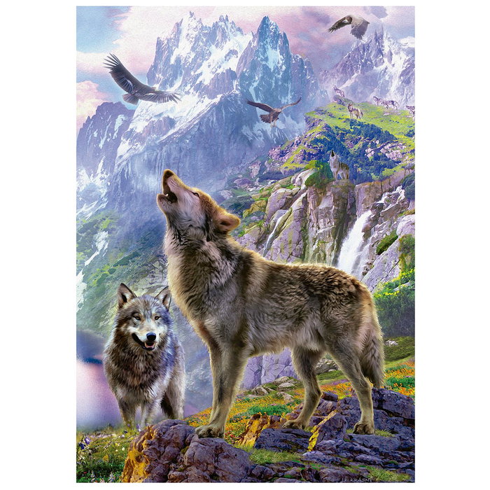 Educa Puzzle Lobos En Las Rocas 500 piezas