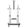 StarTech.com Soporte Móvil de TV Universal Rodante con Ruedas para Pantallas de 60 a 100 Pulgadas, Hasta 100 kg, Altura Ajustable 1200-1700 mm (STNDMTV100)
