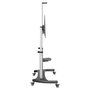 StarTech.com Soporte Móvil de TV Universal Rodante con Ruedas para Pantallas de 60 a 100 Pulgadas, Hasta 100 kg, Altura Ajustable 1200-1700 mm (STNDMTV100)