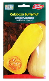 Fito Hortícolas Semillas Calabaza Butternut